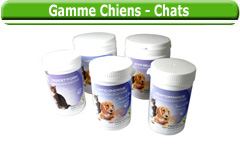 Gamme chiens et chats