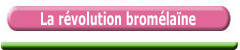 la r�volution Brom�la�ne