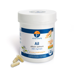 Ail (allium sativum) 