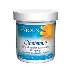 Lithotame (Lithothamnium calcareum) 