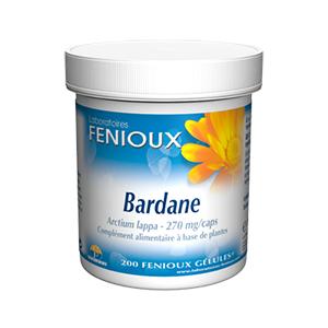 Bardane (Arctium lappa) 