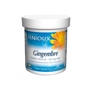 Gingembre (Zingiber officinale) 