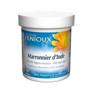 Marronnier d Inde (Aesculus hippocastanum) 